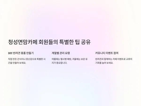 a63eaa847714002d2b28a487572dd53b_1735342